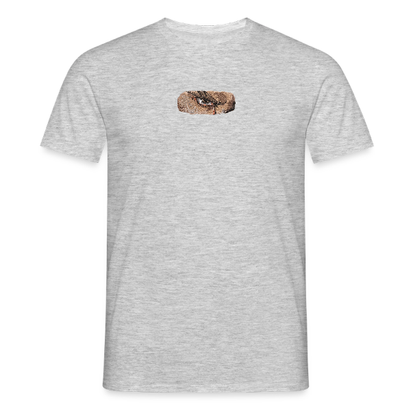 T-SHIRT SIMPLE lucifer fallen