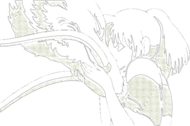 T-SHIRT OVERSIZE PREMIUM dragon black