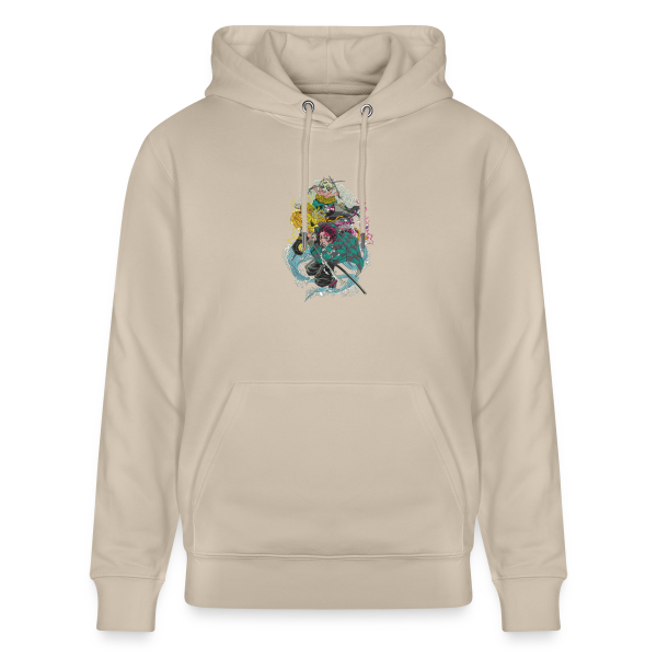 sweat a capuche DS groupe