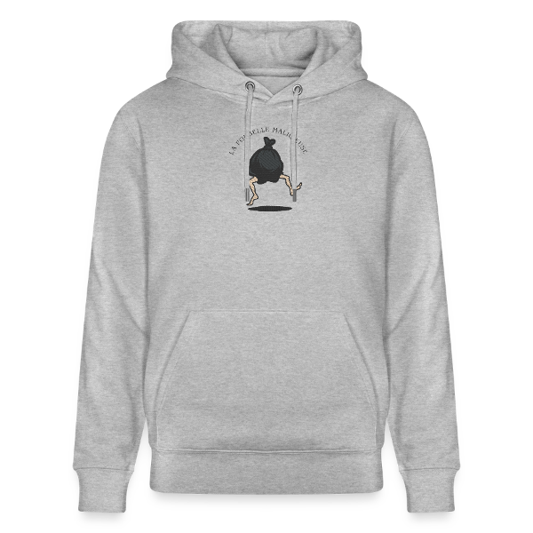 sweat a capuche poubelle malicieuse