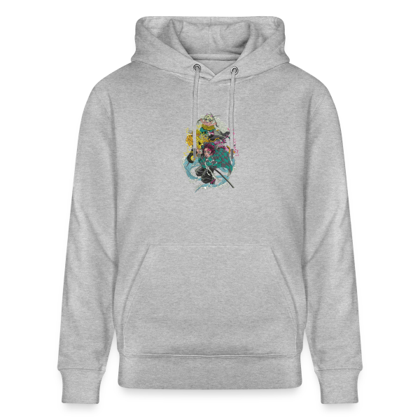 sweat a capuche DS groupe