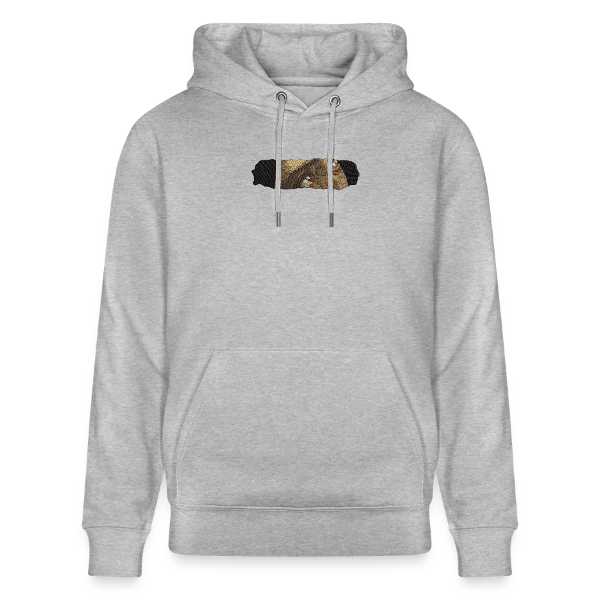sweat a capuche yeux pompei