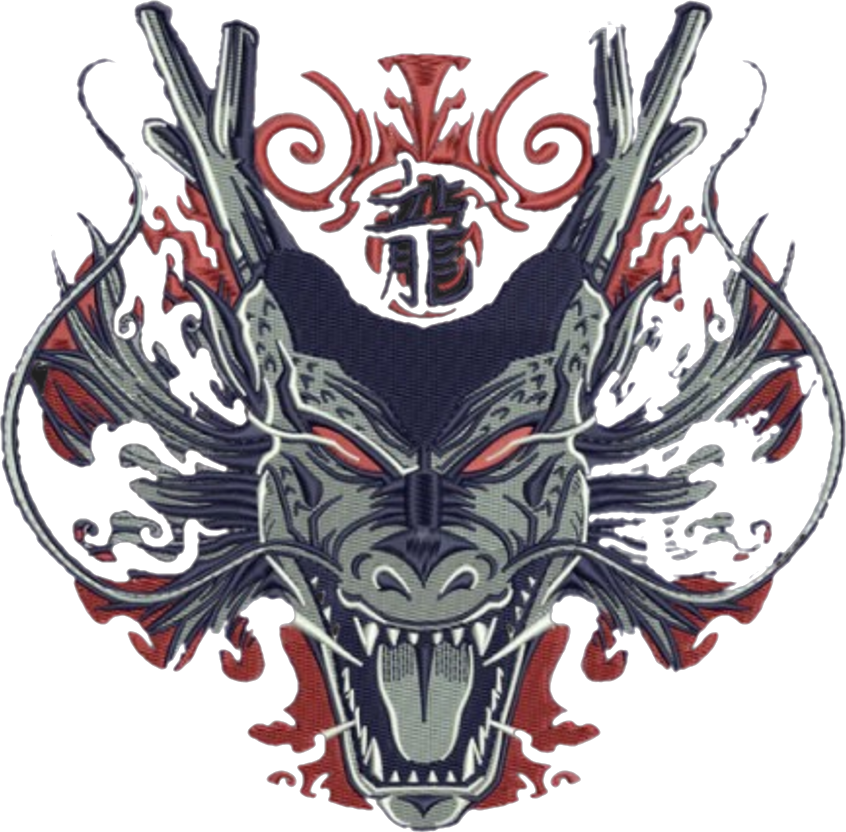 T-SHIRT OVERSIZE PREMIUM shenron