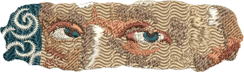 T-SHIRT OVERSIZE PREMIUM yeux van gogh